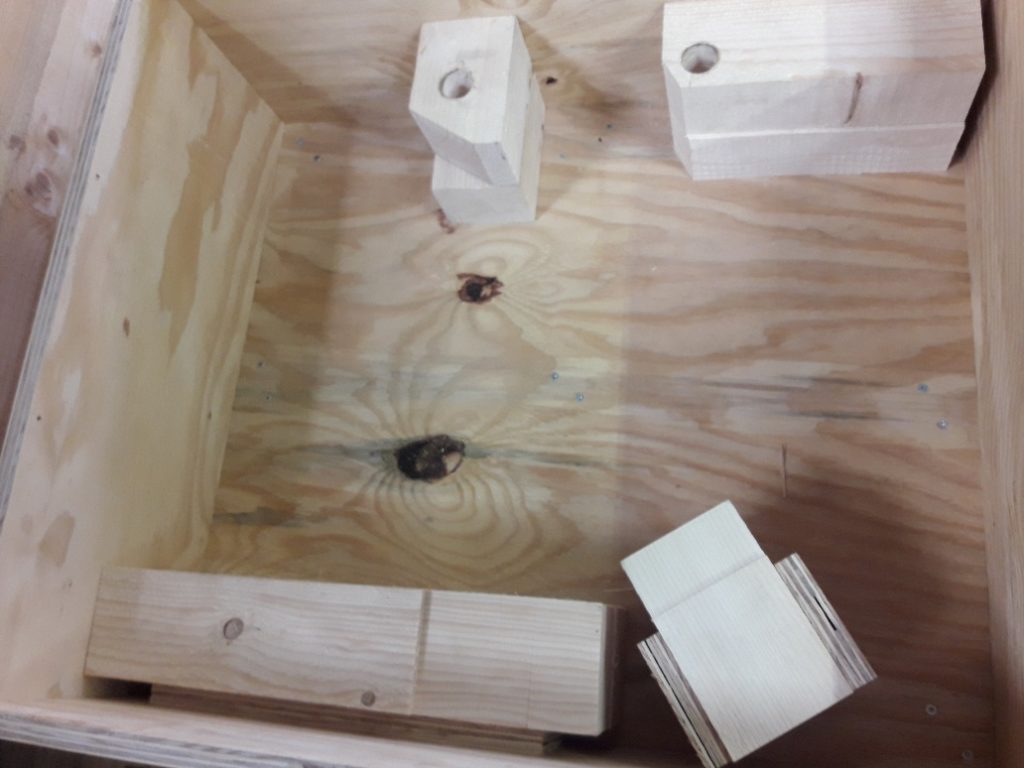 Blick in eine Kunsttransportkiste mit Innenausbau zur Fixierung des Kunstwerks